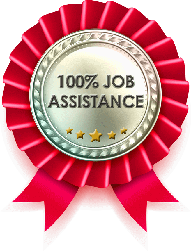 100% Job Assistance